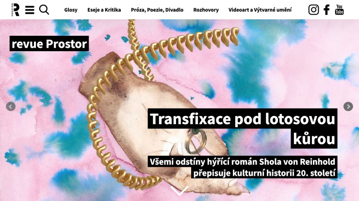Screenshot of website revue Prostor